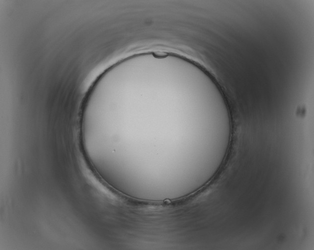 X0000111501518200907281239