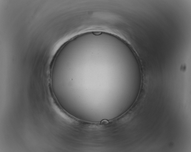 X0000111501519200907281239