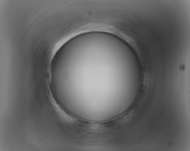 X0000111501520200907281239