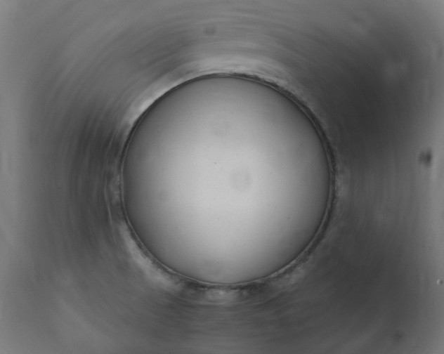 X0000111501521200907281239