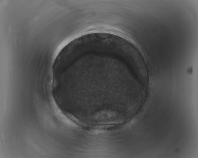 X0000111501522200907281239