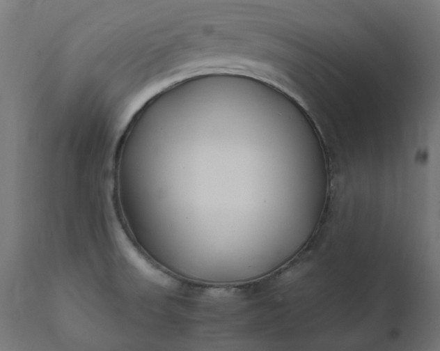 X0000111501523200907281239