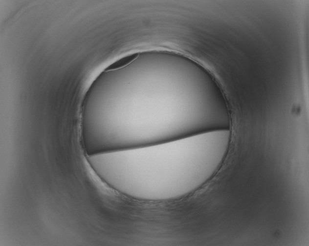 X0000111501524200907281239