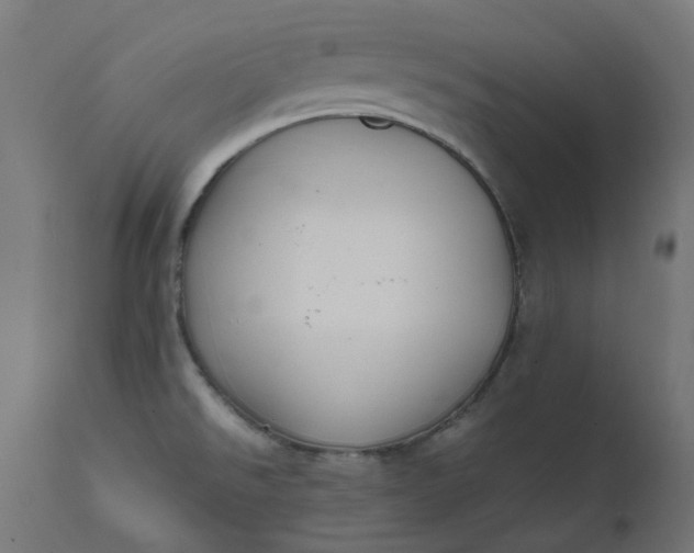 X0000111501526200907281239