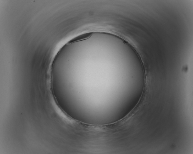 X0000111501528200907281239