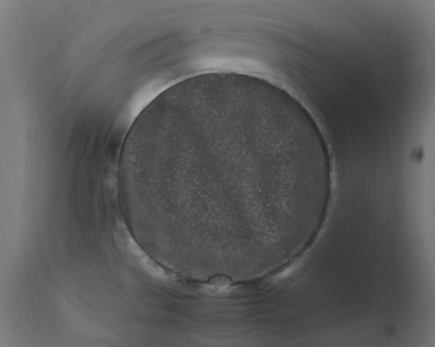 X0000111501529200907281239