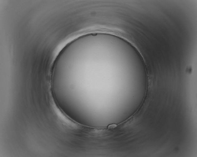 X0000111501531200907281239