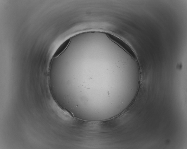 X0000111501532200907281240