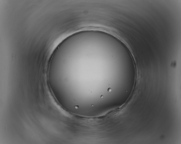 X0000111501533200907281240