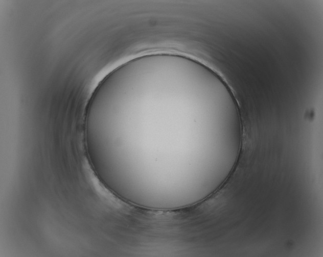 X0000111501534200907281240