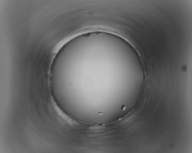 X0000111501535200907281240