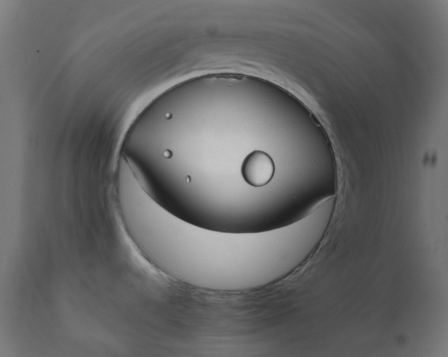 X0000111501536200907281240