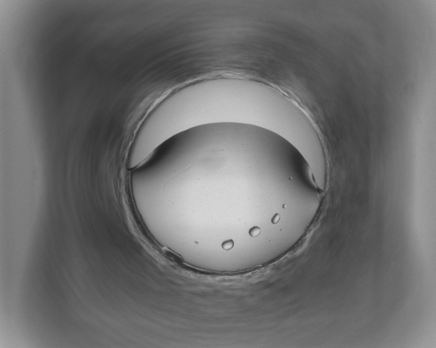 X0000111500001200908041212