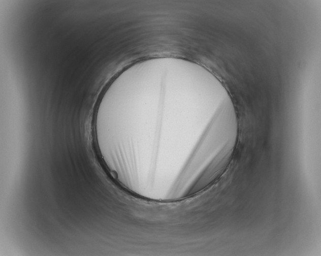 X0000111500002200908041212