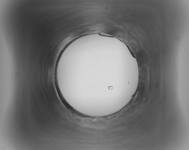 X0000111500003200908041212