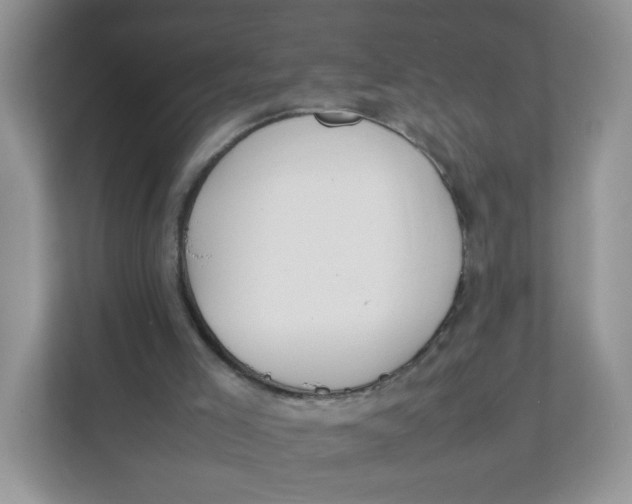 X0000111500005200908041212