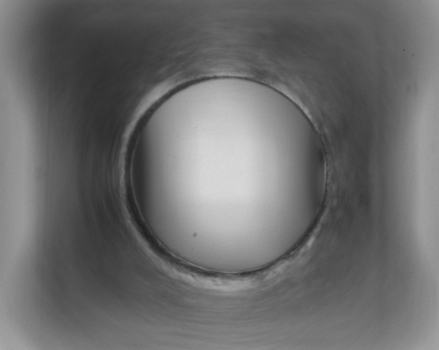 X0000111500008200908041212