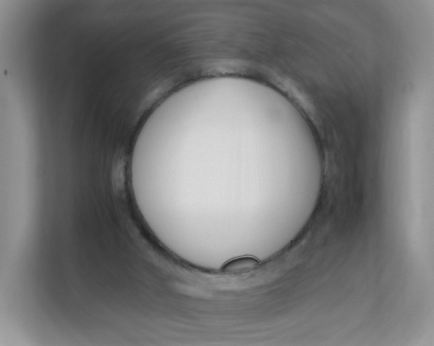 X0000111500010200908041212