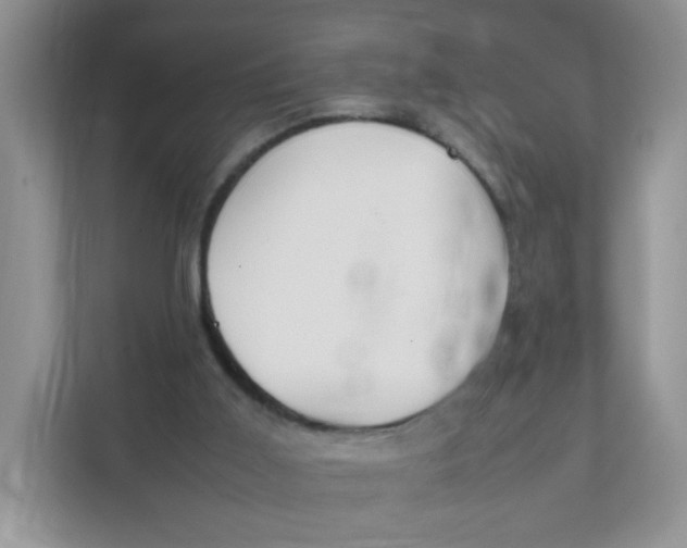 X0000111500011200908041212