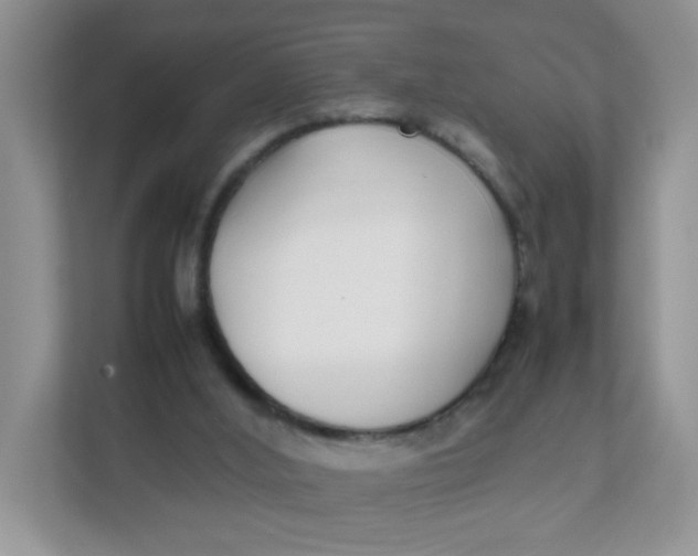 X0000111500012200908041212