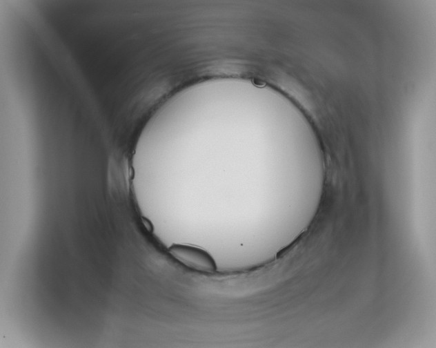 X0000111500013200908041211