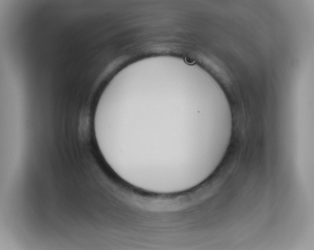 X0000111500016200908041211