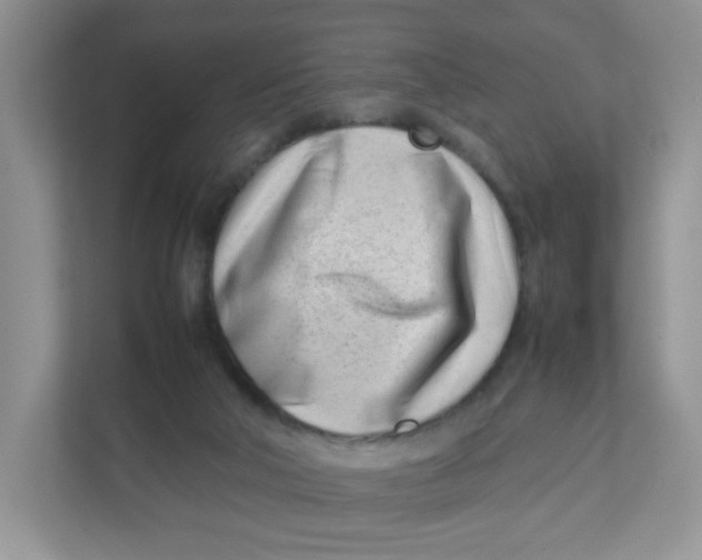 X0000111500018200908041211