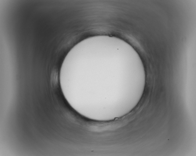 X0000111500021200908041211