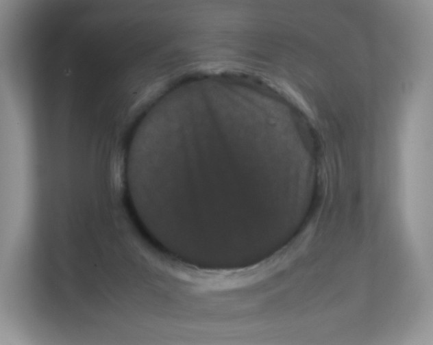 X0000111500023200908041211