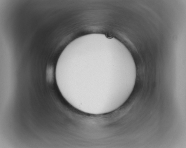 X0000111500024200908041211