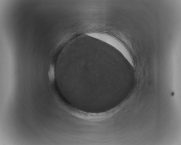 X0000111500027200908041211