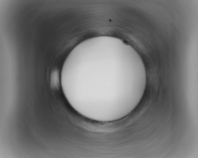 X0000111500028200908041211