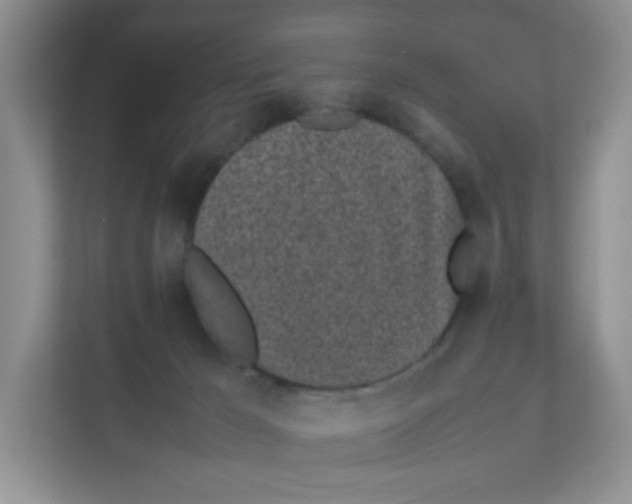 X0000111500029200908041211