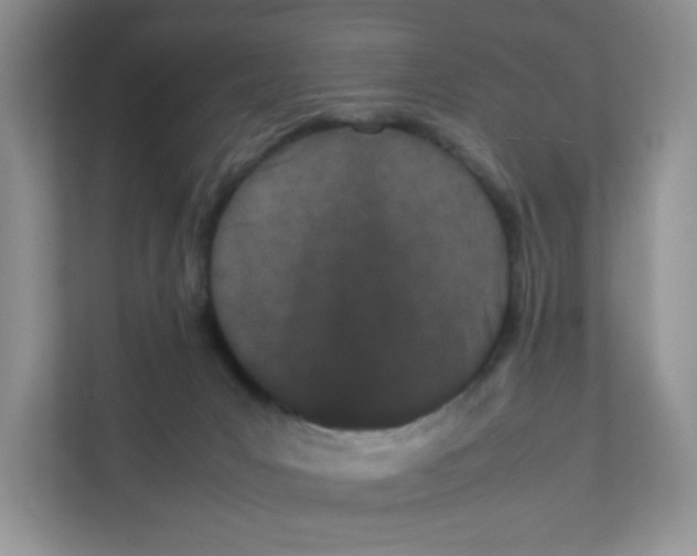 X0000111500031200908041211