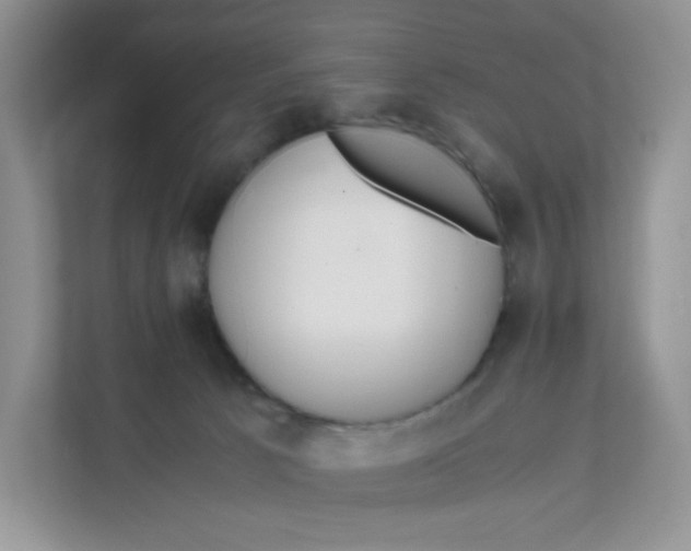 X0000111500033200908041211