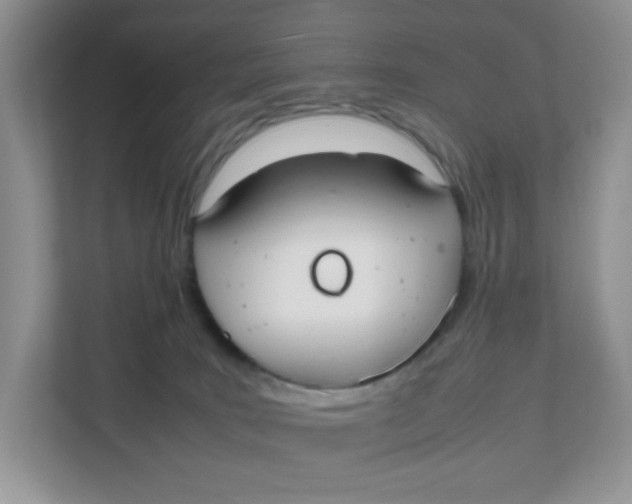 X0000111500035200908041211