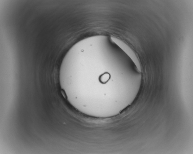 X0000111500036200908041211