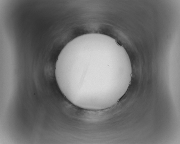 X0000111500037200908041211