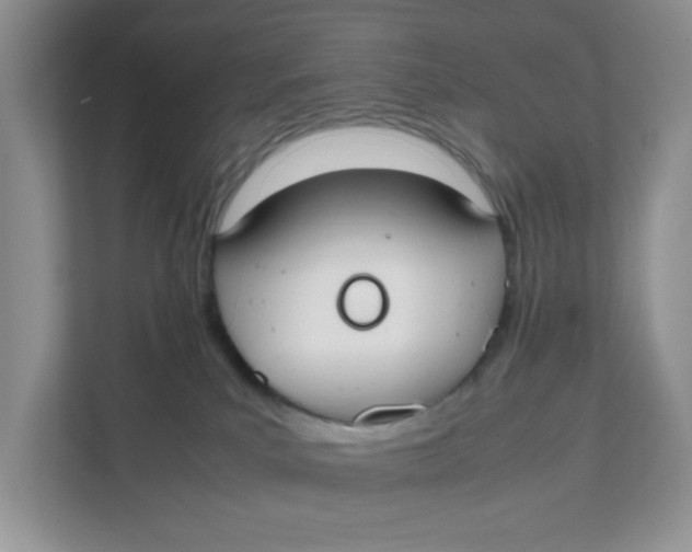 X0000111500039200908041211