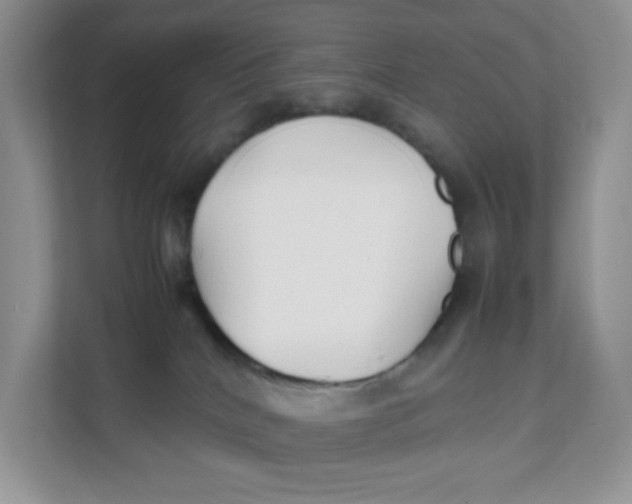 X0000111500040200908041211