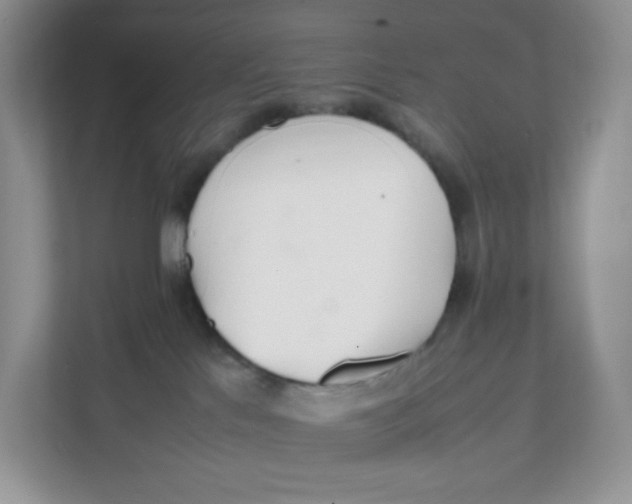 X0000111500041200908041211