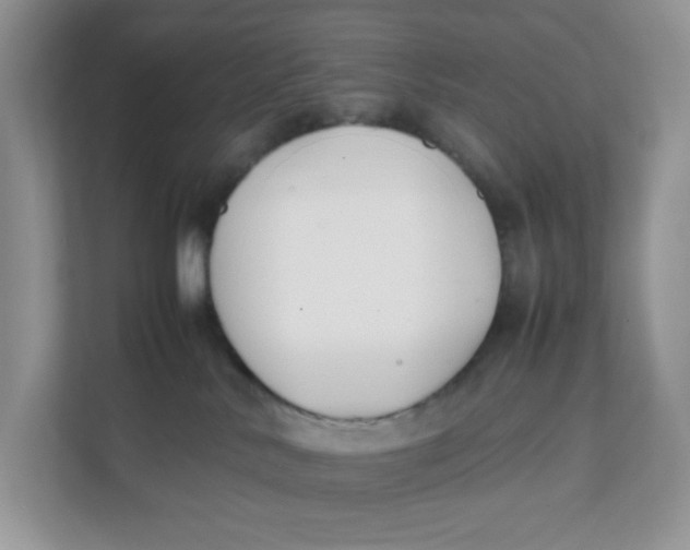 X0000111500042200908041211