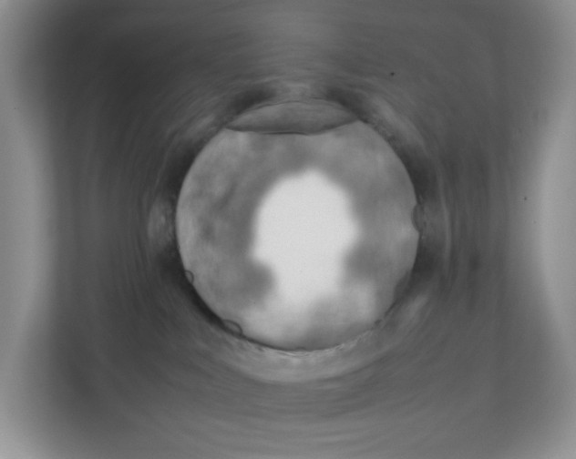 X0000111500043200908041211