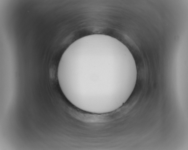 X0000111500044200908041211