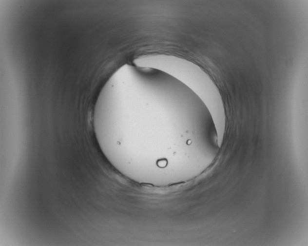 X0000111500045200908041211