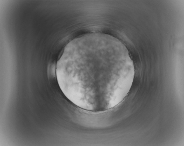 X0000111500047200908041211