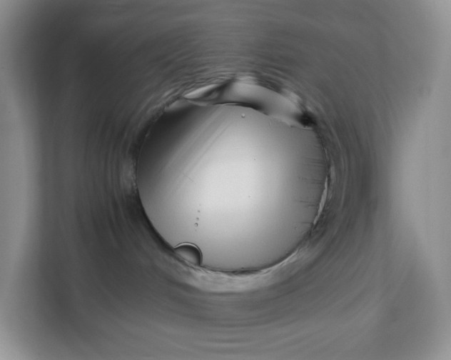 X0000111500048200908041211