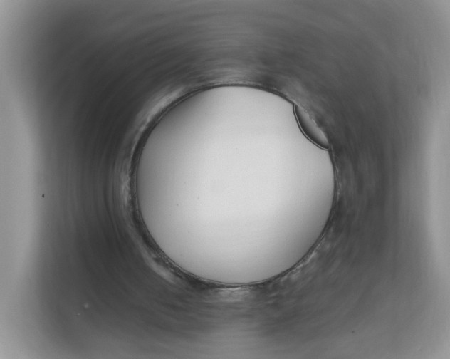 X0000111500050200908041210