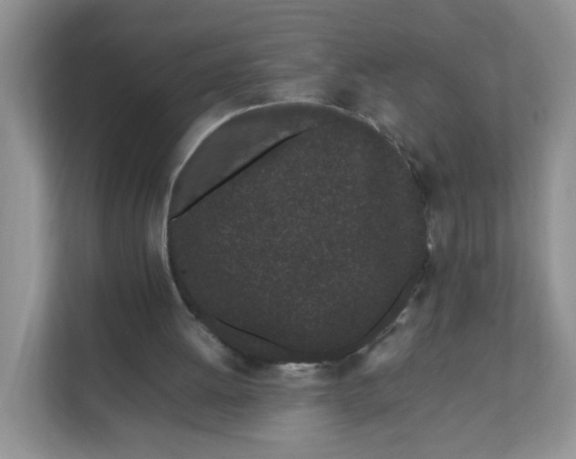 X0000111500052200908041210