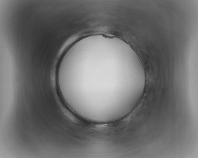 X0000111500054200908041210